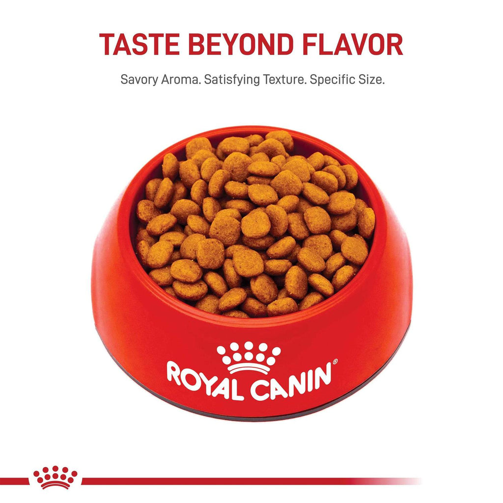 Adult Cavalier King Charles Dry Dog Food I1497
