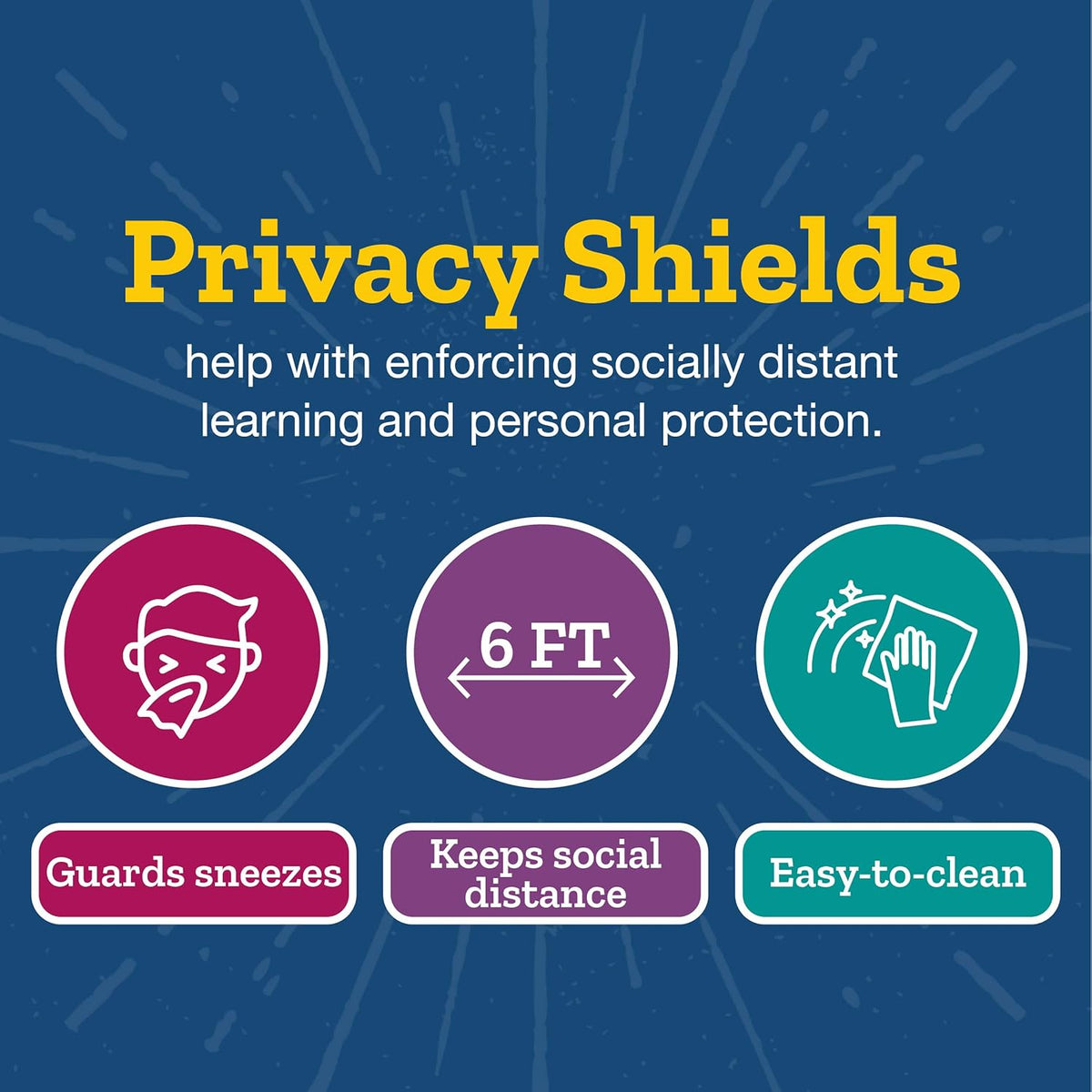 Set of 12 Large Privacy Shields for Student Desks W4254