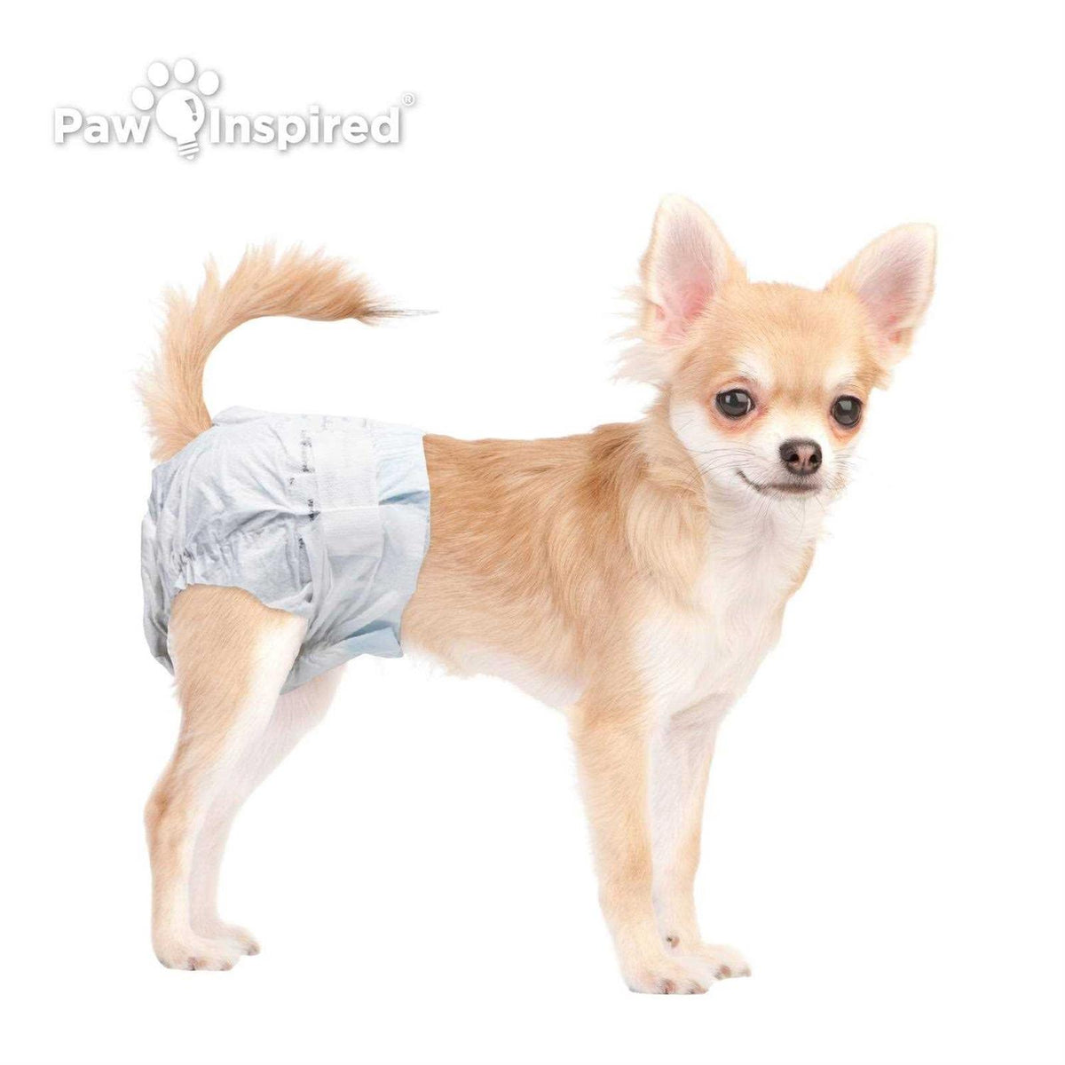 Disposable Dog Diapers J721159
