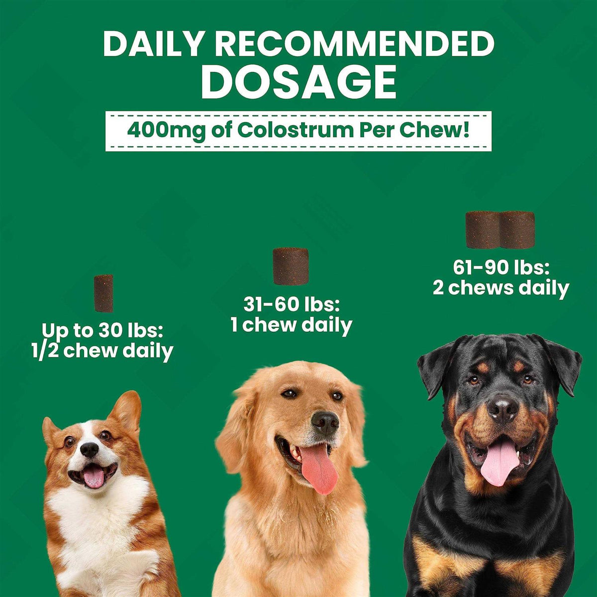 Allergy Relief Soft Chews O979