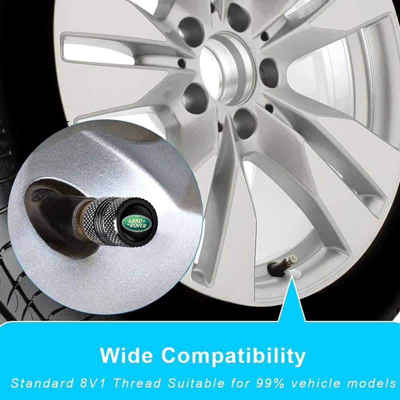 Tire Valve Stem Caps Air Cover B48490