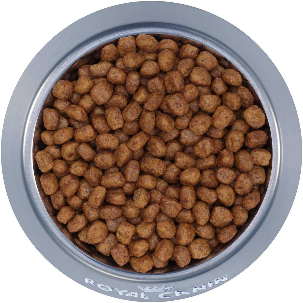 Adult Dry Dog Food E58554