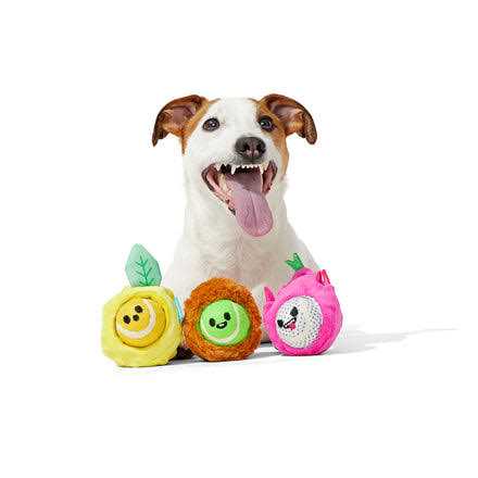 Dog Toys Squeaker Ball Toys Y446