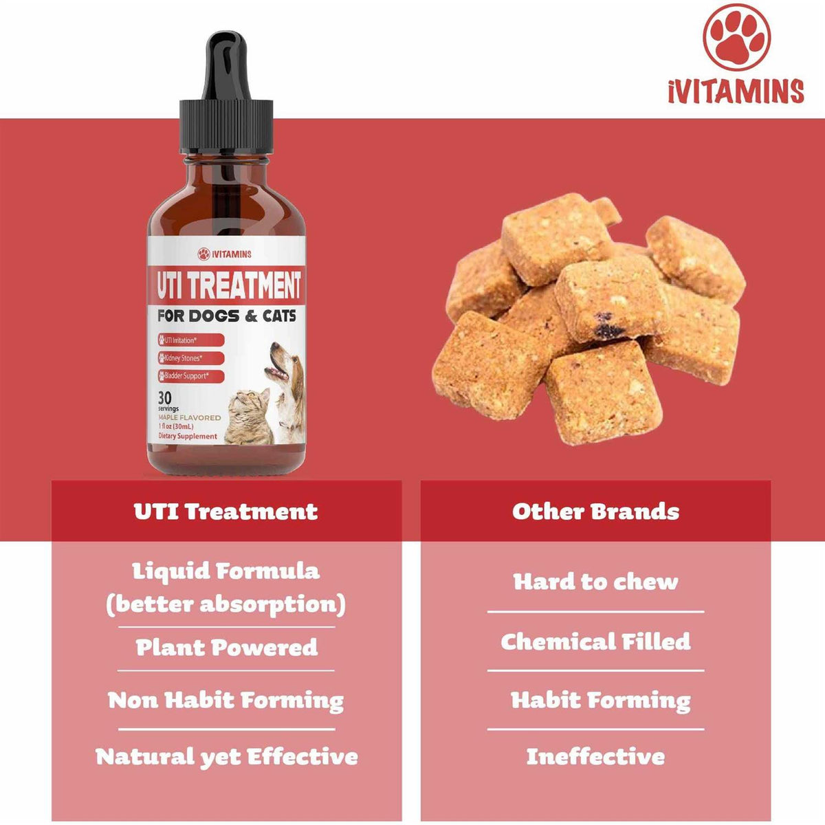 Pumpkin Cranberry Dog UTI Supplement N192471