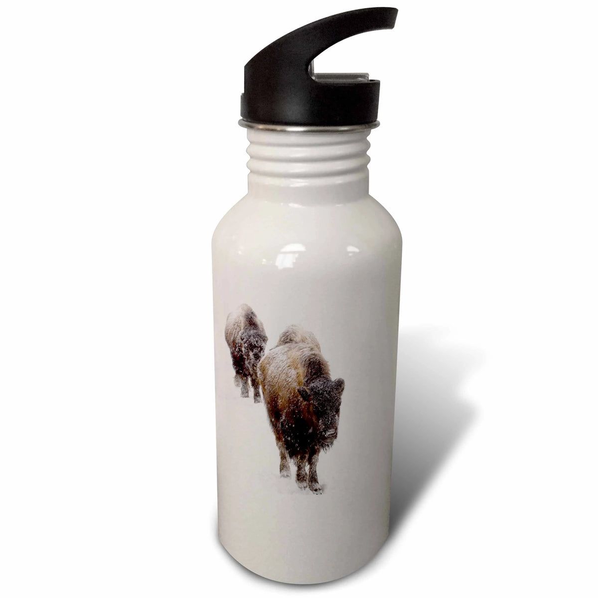 21 oz Sports Water Bottle N83546