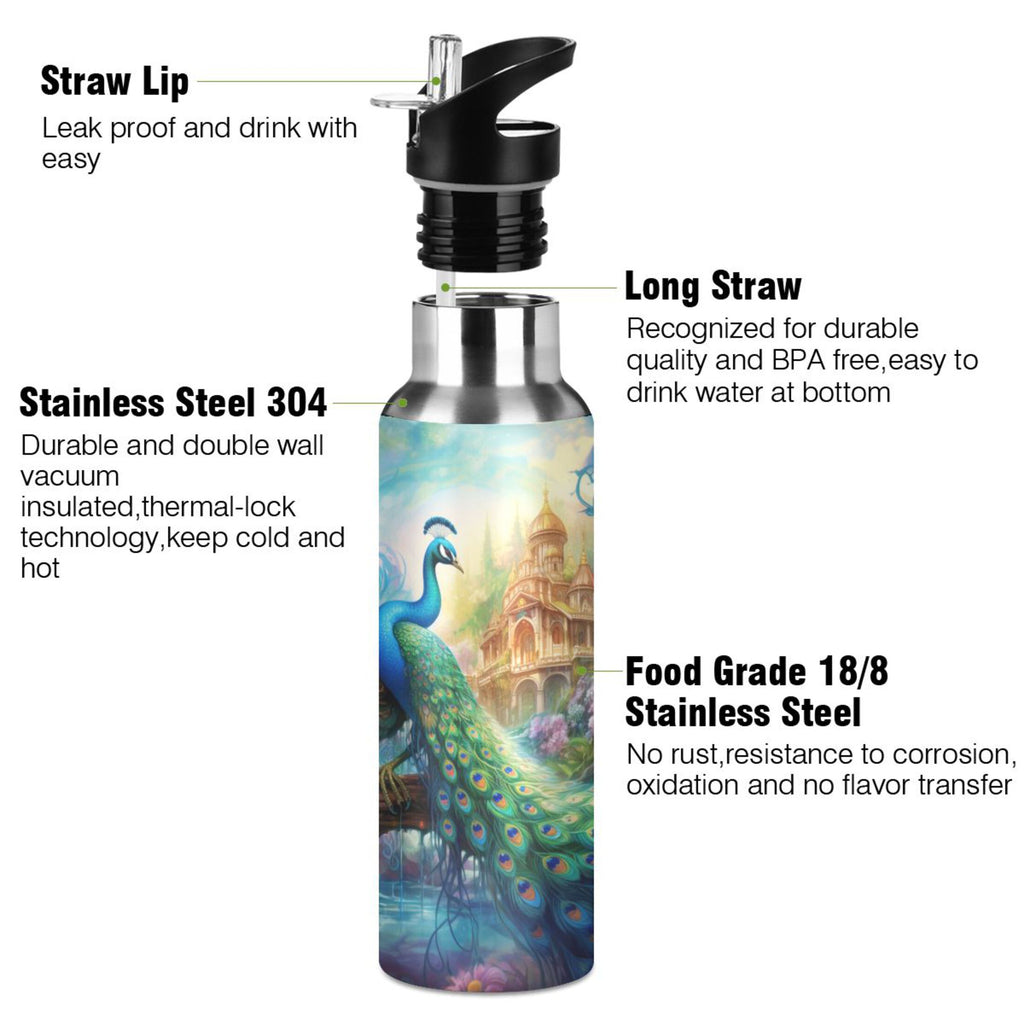 20 oz Insulated Stainless Steel Water Bottle with Straw Lid X826324