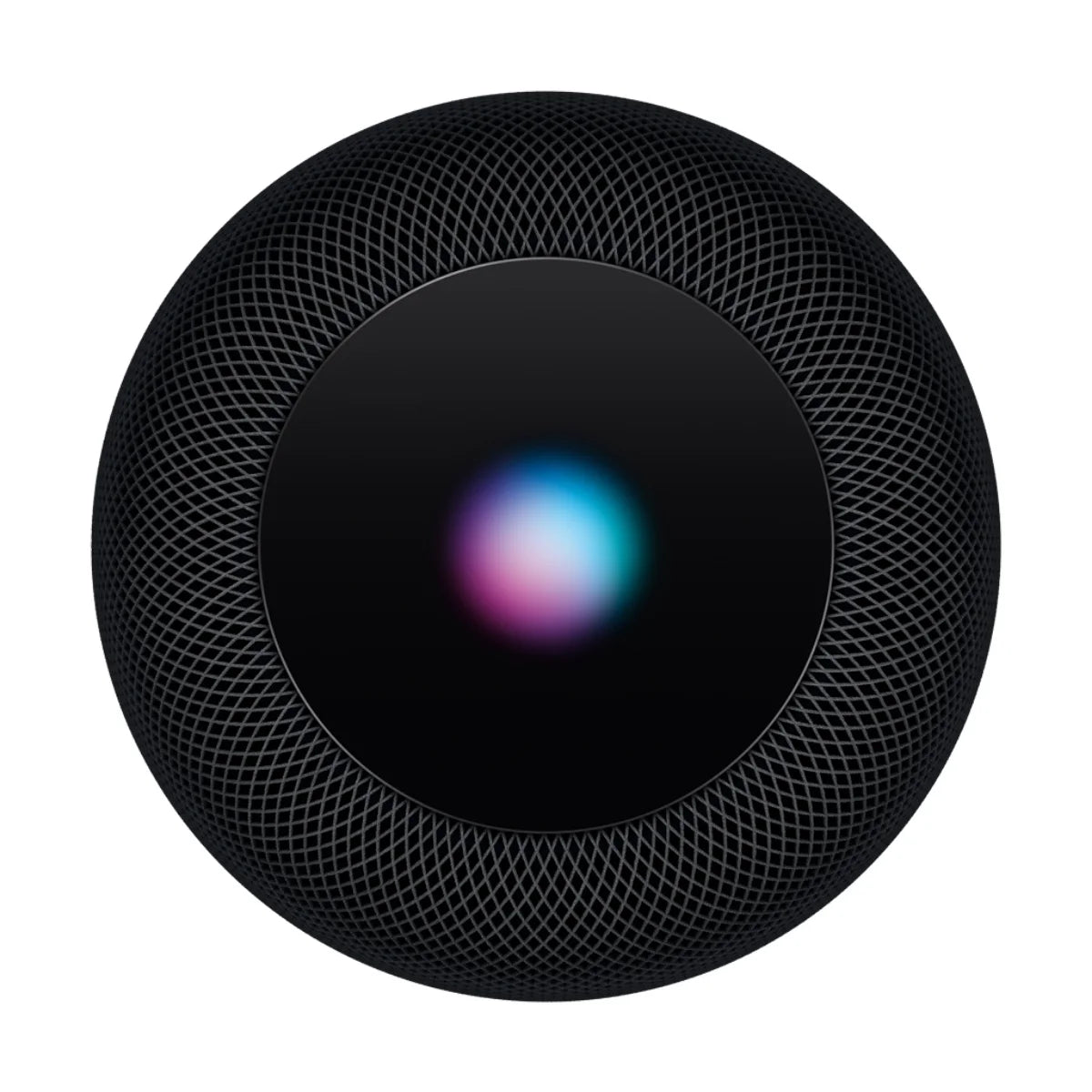 Space Gray Smart Speaker P550452