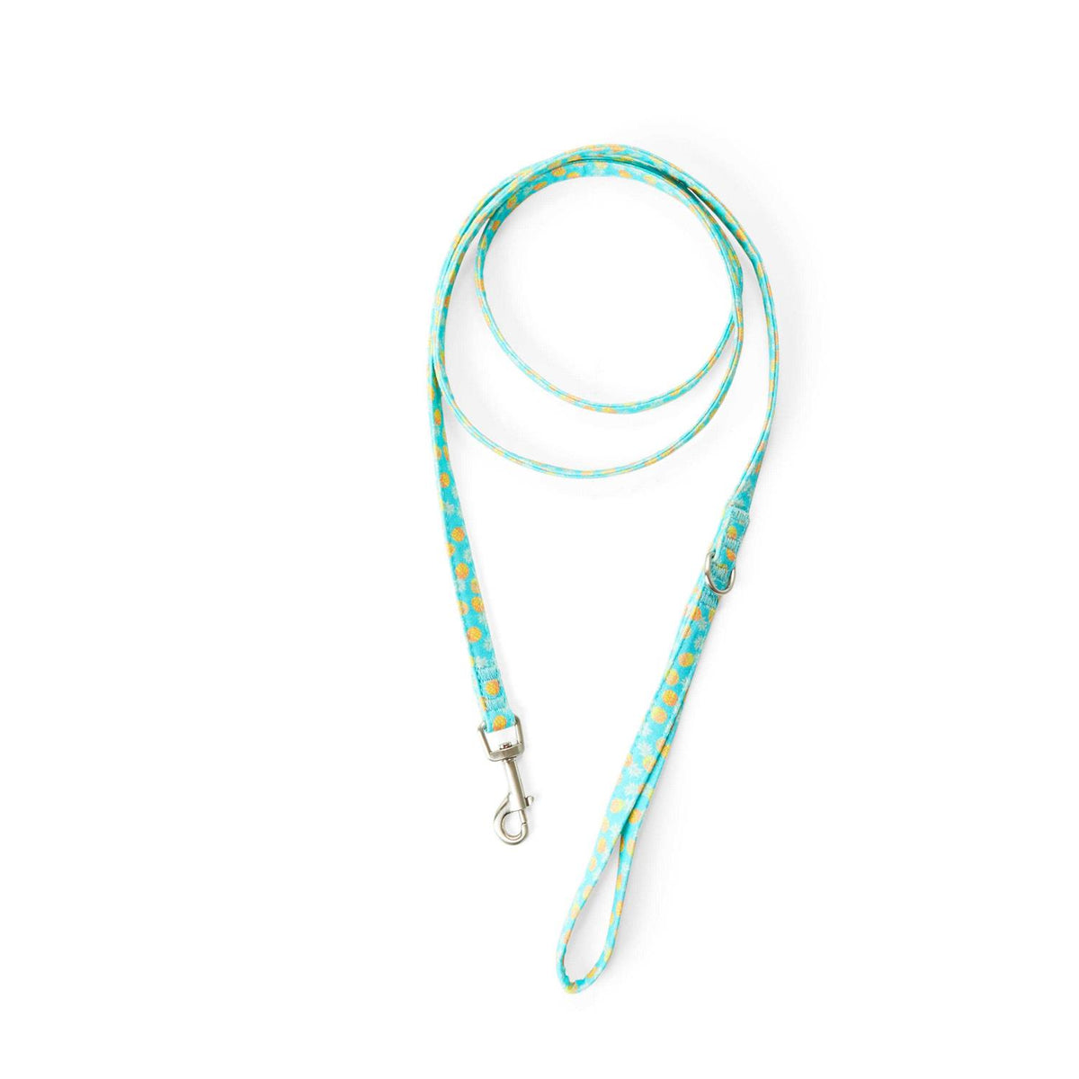 Small Dog Pineapple Dog Leash W761713