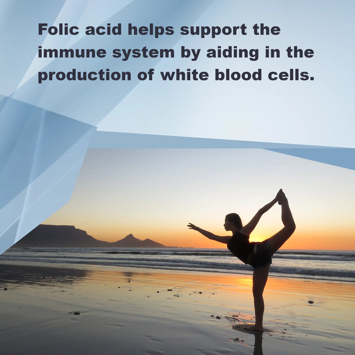 Folic Acid 5 mg 100 Capsules Gluten Free Non-GMO K48954
