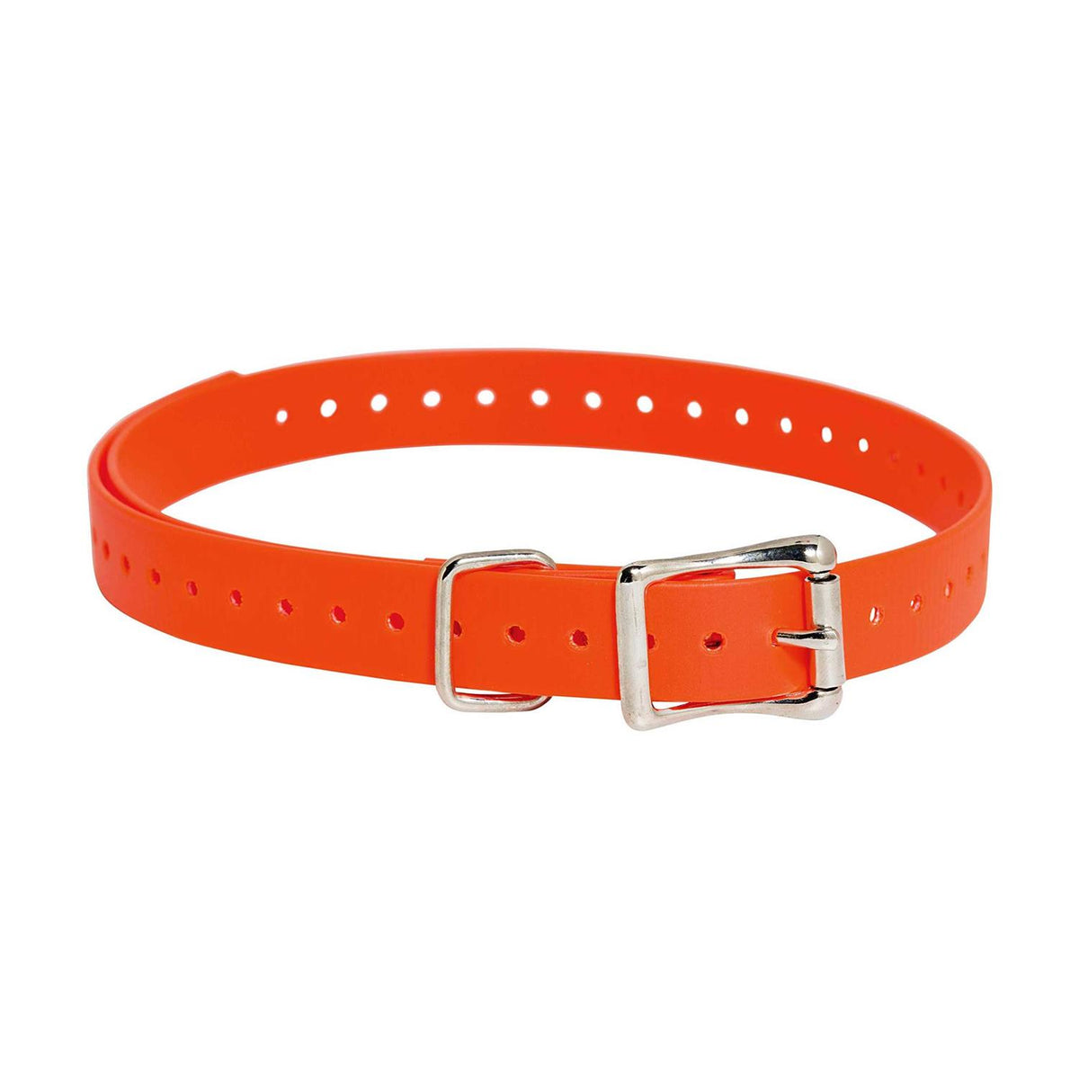 Collar Strap N4059
