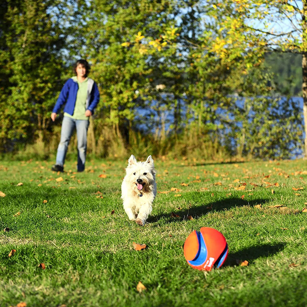 Large Kick Fetch Ball Dog Toy (8 Inch) P67319