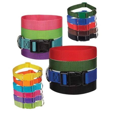 Nylon Dog Collar Bulk Pack of 75 (XSmall 6 to 10 inch) M6928