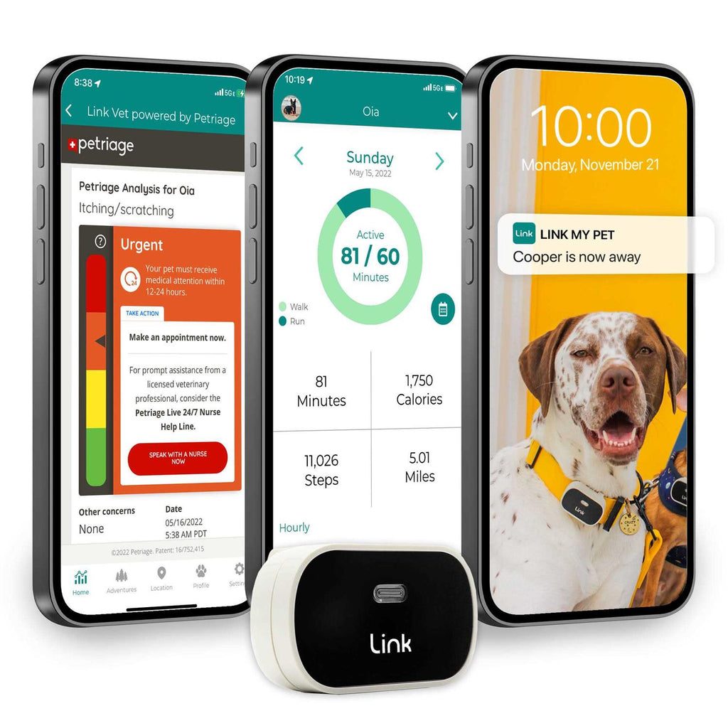 GPS Dog Tracker & Activity Monitor U565924