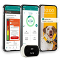GPS Dog Tracker & Activity Monitor U565924