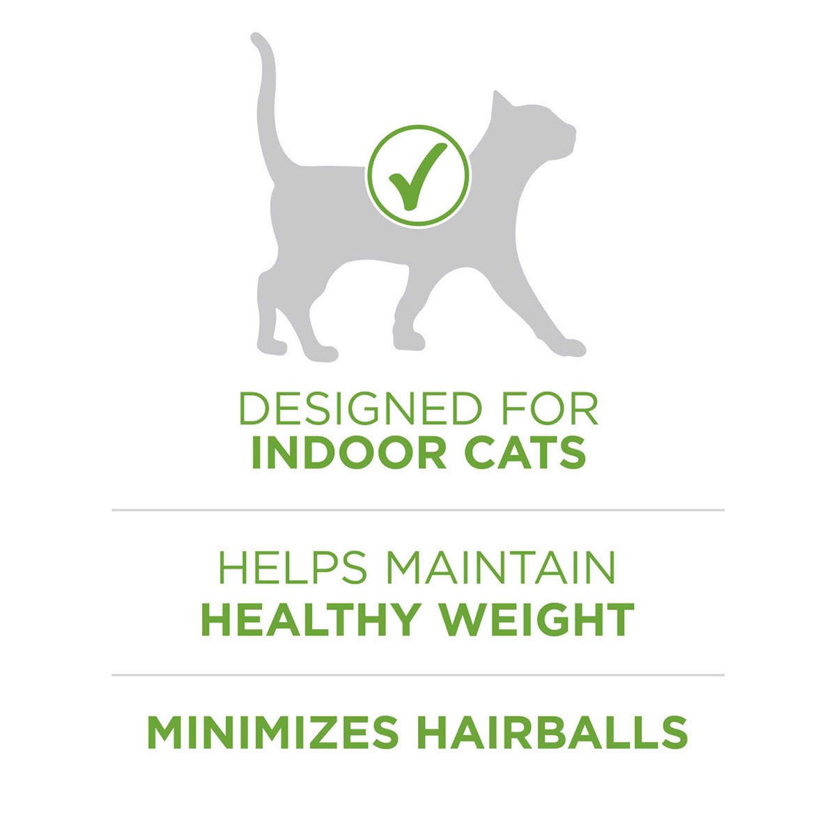 Dry Cat Food T52023