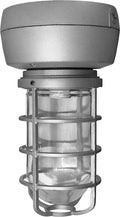 70W MH Ceiling Light with Glass Globe T729