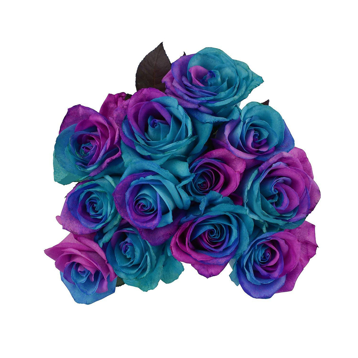 Roses, Tinted Pink and Blue (50 Stems) R959