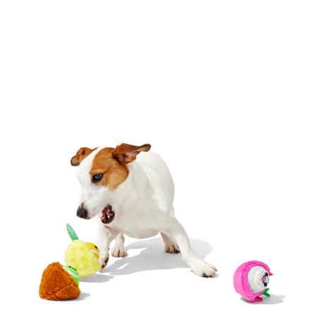 Dog Toys Squeaker Ball Toys Y446