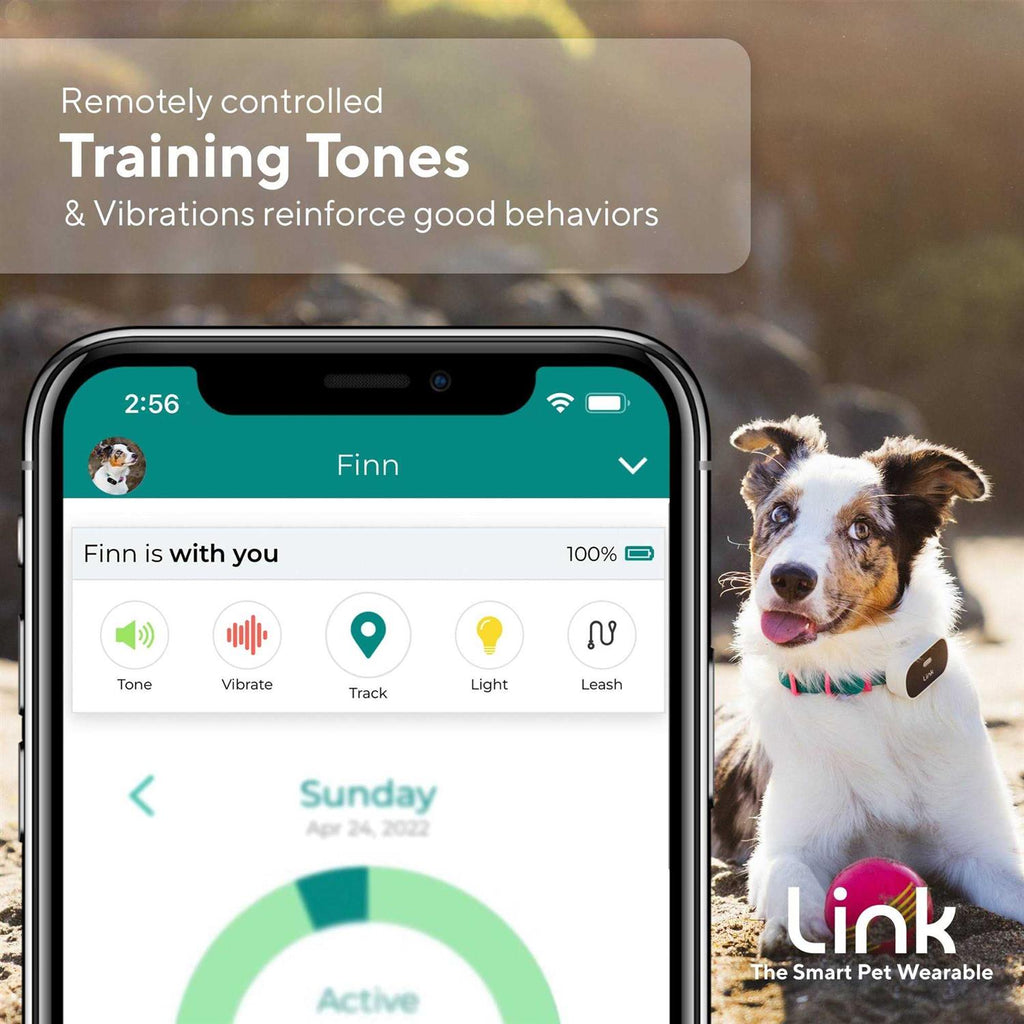 GPS Dog Tracker & Activity Monitor U565924