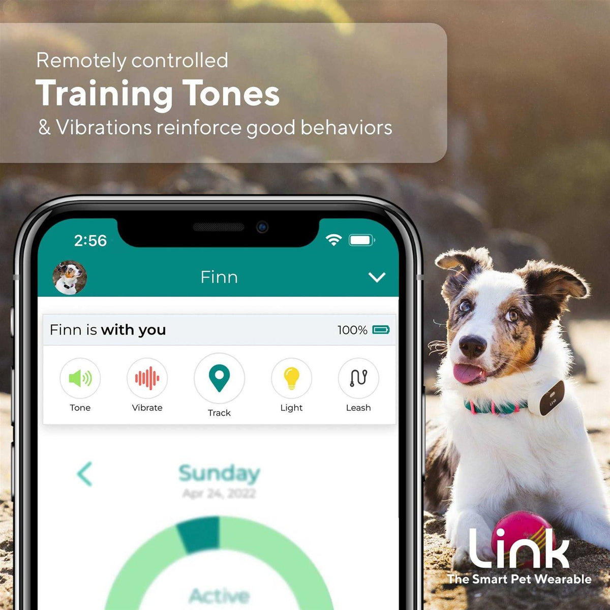 GPS Dog Tracker & Activity Monitor U565924