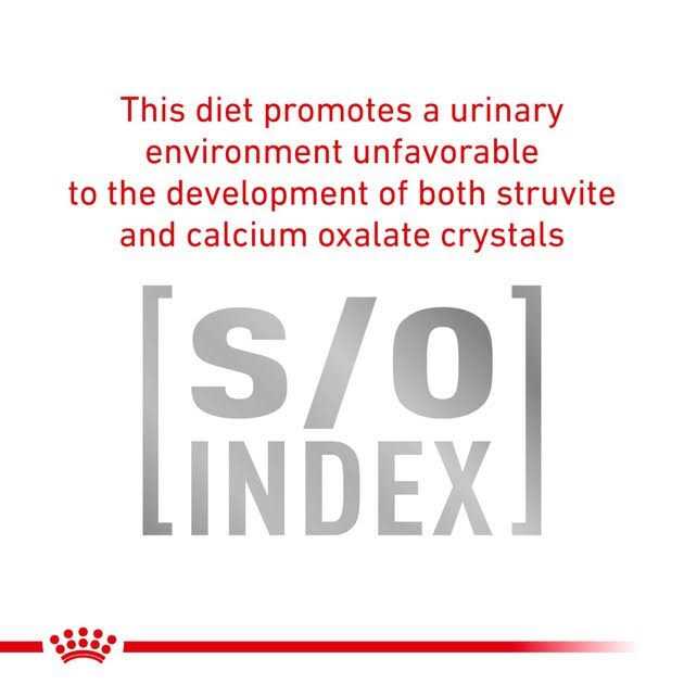Veterinary Diet Cat Food F584870