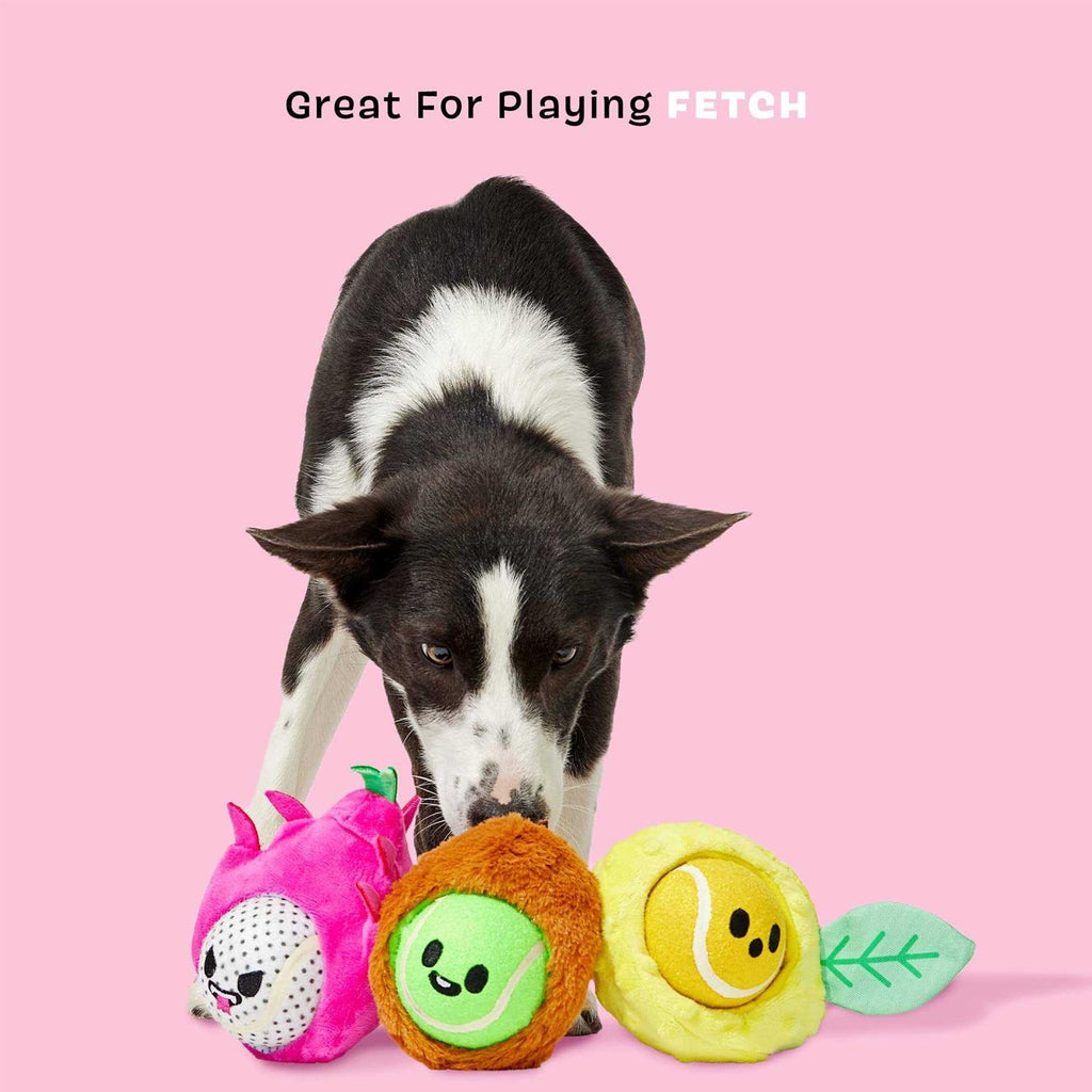 Dog Toys Squeaker Ball Toys Y446