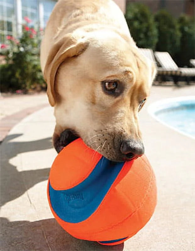 Large Kick Fetch Ball Dog Toy (8 Inch) P67319