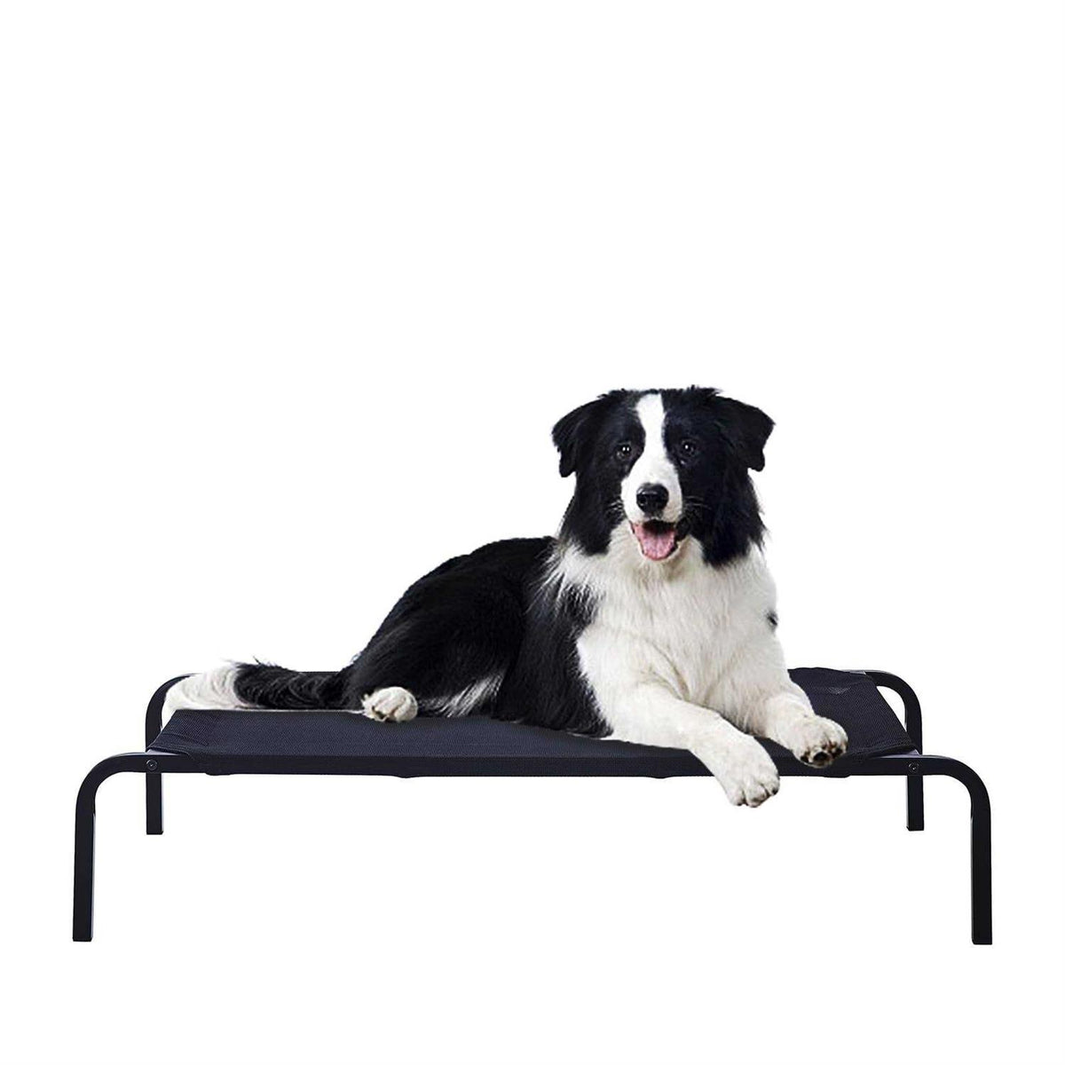Portable Raised Cooling Steel-Framed Elevated Pet Bed R905