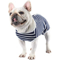 Dog Diapers Sanitary Panties Pet Recovery Suit I129