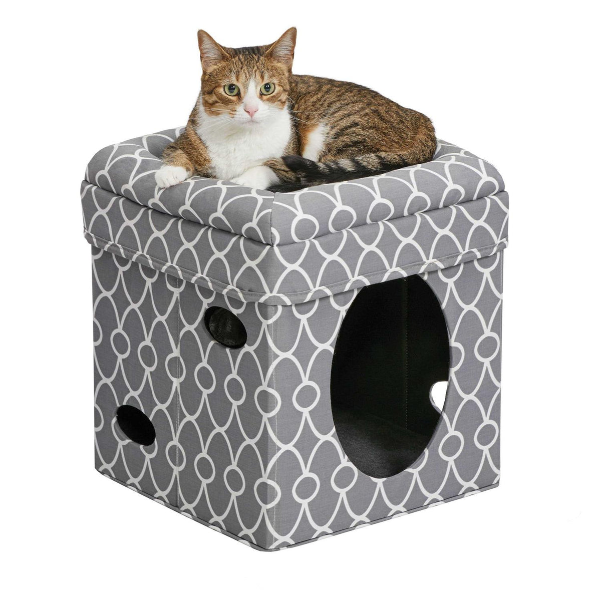 Curious Cat Cube I915
