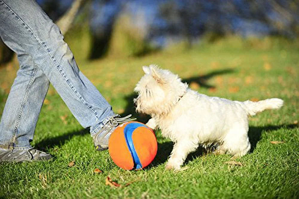 Large Kick Fetch Ball Dog Toy (8 Inch) P67319
